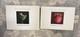2012 Niue $2 Anne Geddes Keepsake Silver Proof Coin Set Pair New Zealand Mint
