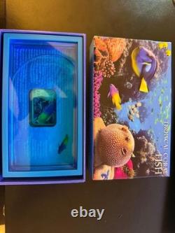 2013 Niue $1 Tropical Coral Fish Royal Gramma Silver Proof Coin New Zealand M