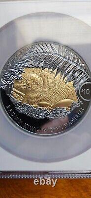 2021 New Zealand $10 Brown Kiwi Gilded 5 oz