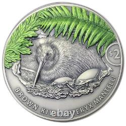 New Zealand 2021 2 OZ Kiwi Proof Coin Antique Finish