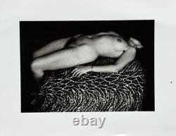 New Zealand Photographer Peter Peryer Gelatin Silver Photo Print Anne Noble 1979