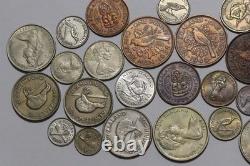 New Zealand Super Coin Collection With Many Silver High Grade B84 #50zg45