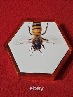 2016 NOUVELLE-ZÉLANDE Preuve ABEILLE DE MIEL 0.999 Argent 1 OZ TROY 1 $ RARE ! #T2962