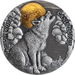 2020 Niue $5 Wildlife In Moonlight Gray Wolf 2 Oz. 999 Monnaie De Monnaie D'argent 500