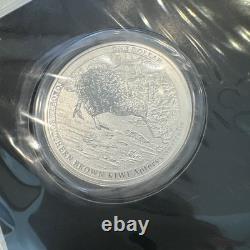 Carte de pièce spécimen Kiwi en argent de 1 dollar, 1 once, Nouvelle-Zélande 2023