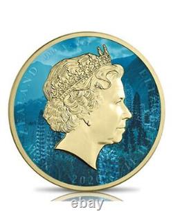 Médaille en argent de 2 onces KIWI HR Gold Ruthenium Edition 2$ Nouvelle-Zélande 2020