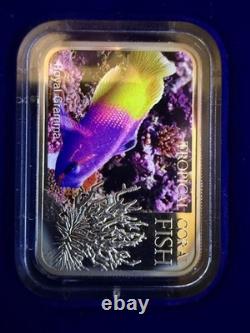 Niue 2013 – Pièce de 1 $ en argent Belle Épreuve – Poisson corallien tropical Gramma royal – Nouvelle-Zélande M