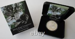 Nouvelle-Zélande 1 Dollar 2013 Kiwi 1 Oz Argent Épreuve