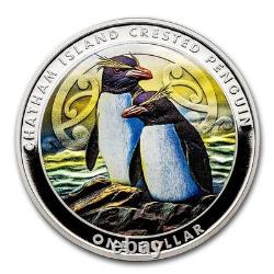 Nouvelle-Zélande 2020 Ensemble monétaire en argent proof - Manchot huppé des îles Chatham