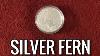 Nouvelle-zélande Silver Fern Round Precious Metal Coin U0026 Bar Stacking Wealth Preservation Collecting